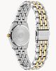 LAD ECO WR100 SST BRAC BLUE