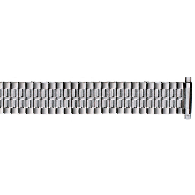22MM Silver Mesh Band