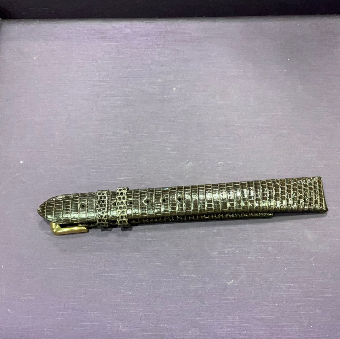 Gen Lizard Brn 16 mm Long