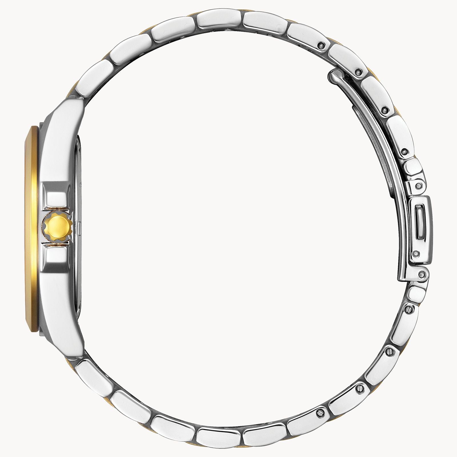 LAD ECO WR100 SST BRACLET WHITE