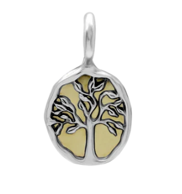 Mother Nurture Medallion