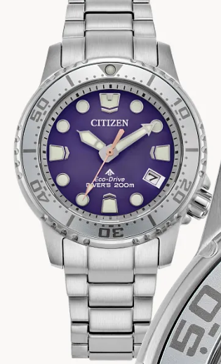 Promaster Dive